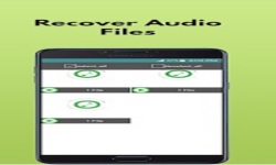 Deleted Audio Call recording Recovery screenshot 1/6