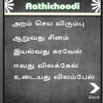 Aathichhodi screenshot 2/3