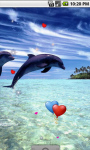 Lovely Dolphins Cute Live Wallpaper screenshot 1/4