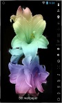 Gorgeous Colorful Lily Live Wallpaper screenshot 2/2