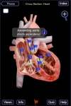 The Cardiovascular System Pro screenshot 1/1