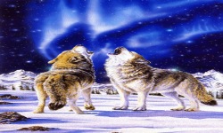 Snowy Wolves Live Wallpaper screenshot 2/3