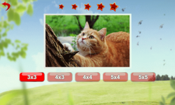 Cat The Jigsaw Puzzle Free screenshot 2/3