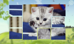 Cat The Jigsaw Puzzle Free screenshot 3/3