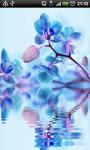 Blue Orchids in Water Live Wallpaper Theme screenshot 2/2