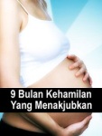 9 Bulan Kehamilan Yang Menakjubkan screenshot 1/1