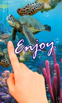 Sea Turtles in your phone LWP free screenshot 2/3