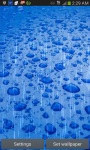 Raindrops on Water LWP screenshot 2/3