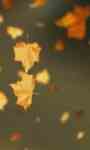 Autumn Leaves Video Wallpaper screenshot 2/3