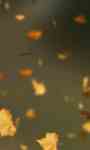 Autumn Leaves Video Wallpaper screenshot 3/3