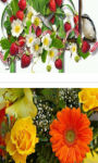 Bouquet of wild strawberries Wallpaper HD screenshot 2/3