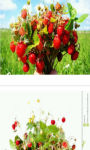 Bouquet of wild strawberries Wallpaper HD screenshot 3/3