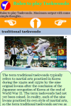 Play Taekwondo screenshot 4/4