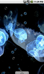 Jellyfish Cool Live Wallpaper screenshot 1/4