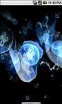 Jellyfish Cool Live Wallpaper screenshot 2/4
