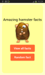 Amazing Hamster Facts screenshot 1/4