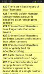 Amazing Hamster Facts screenshot 2/4