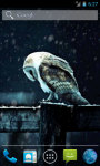 Owl Under Snowfall Live Wallpaper screenshot 1/4