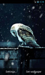 Owl Under Snowfall Live Wallpaper screenshot 2/4
