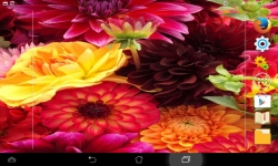Awesome Flowers Live screenshot 4/6