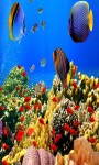 Aquarium Live Wallpaper Frames screenshot 1/5