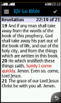 JAVA KJV Bible screenshot 3/3