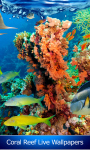 Coral Reef Live Wallpapers Free screenshot 1/6