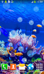 Coral Reef Live Wallpapers Free screenshot 2/6