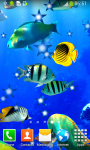Coral Reef Live Wallpapers Free screenshot 4/6