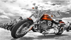 Harley Davidson Fans Apps screenshot 3/3