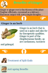 Ginger Benefits screenshot 3/3