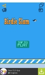 Birdie Slam Game screenshot 1/4