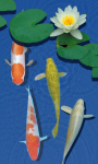 3D freshwater Fish pond screenshot 1/6