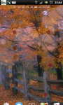 The Autumn Fall Leaves Live Wallpaper screenshot 4/6