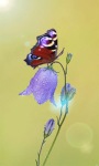 Butterfly Flower Live Wallpaper screenshot 1/3