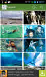 Fantastic Real Mermaid Photos screenshot 1/5