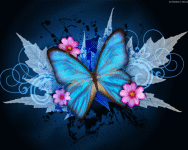 Beauty Butterfly Wallpaper screenshot 1/6