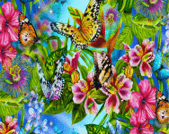 Beauty Butterfly Wallpaper screenshot 6/6