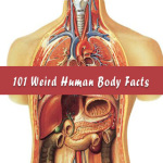 Weird Human Body Facts S40 screenshot 1/1