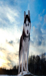 Siberian Husky Live Wallpaper Free screenshot 3/4