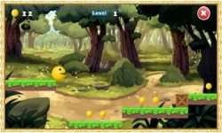 Pac Run Adventure screenshot 3/3