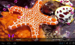 3D Starfish Live Wallpaper screenshot 3/5