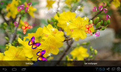 3D Apricot Blossom Live Wallpaper screenshot 5/5