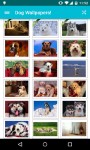 Dog Wallpapers Android 3x screenshot 5/6