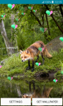 Live Wallpapers – Foxes screenshot 6/6