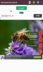 Bee around the world 4K screenshot 6/6