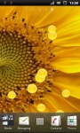 Beautiful Sunflower Live Wallpaper screenshot 3/3