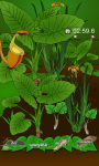 Find The Hidden Insects screenshot 1/3