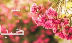 Arabic Daily Wishes Messages screenshot 1/6