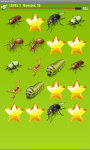 Bugs Match up Game screenshot 3/4